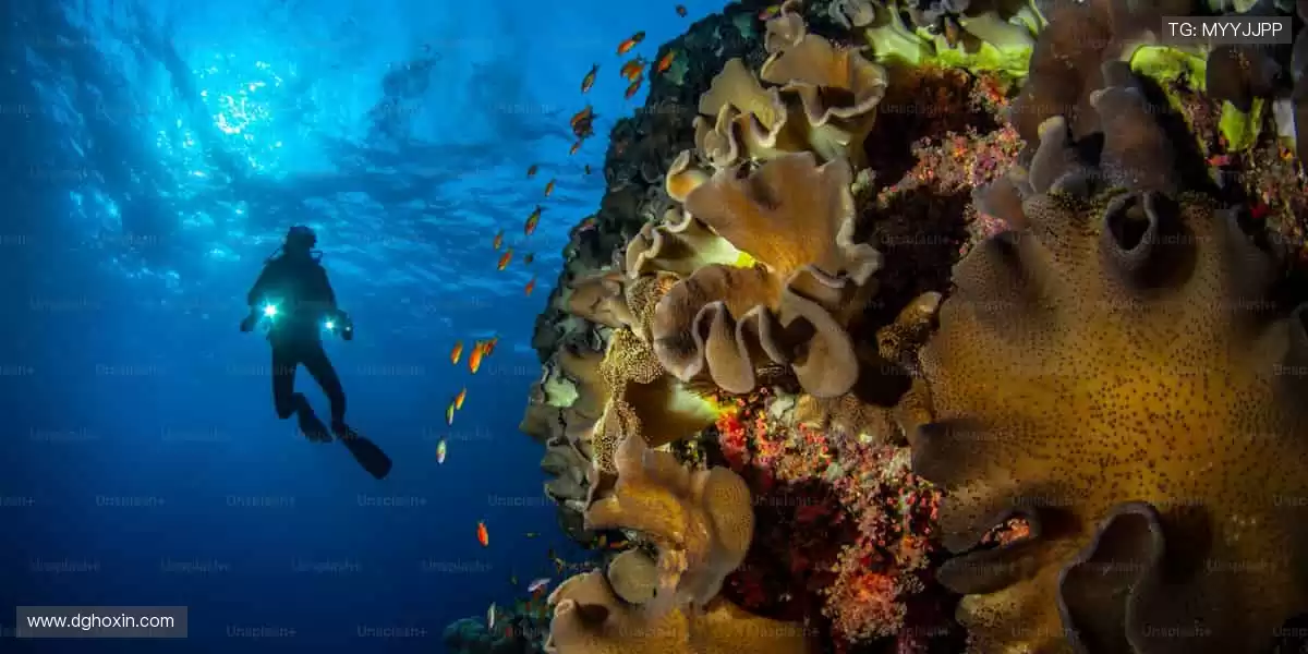 💥🎯 直播互动,全民参与!